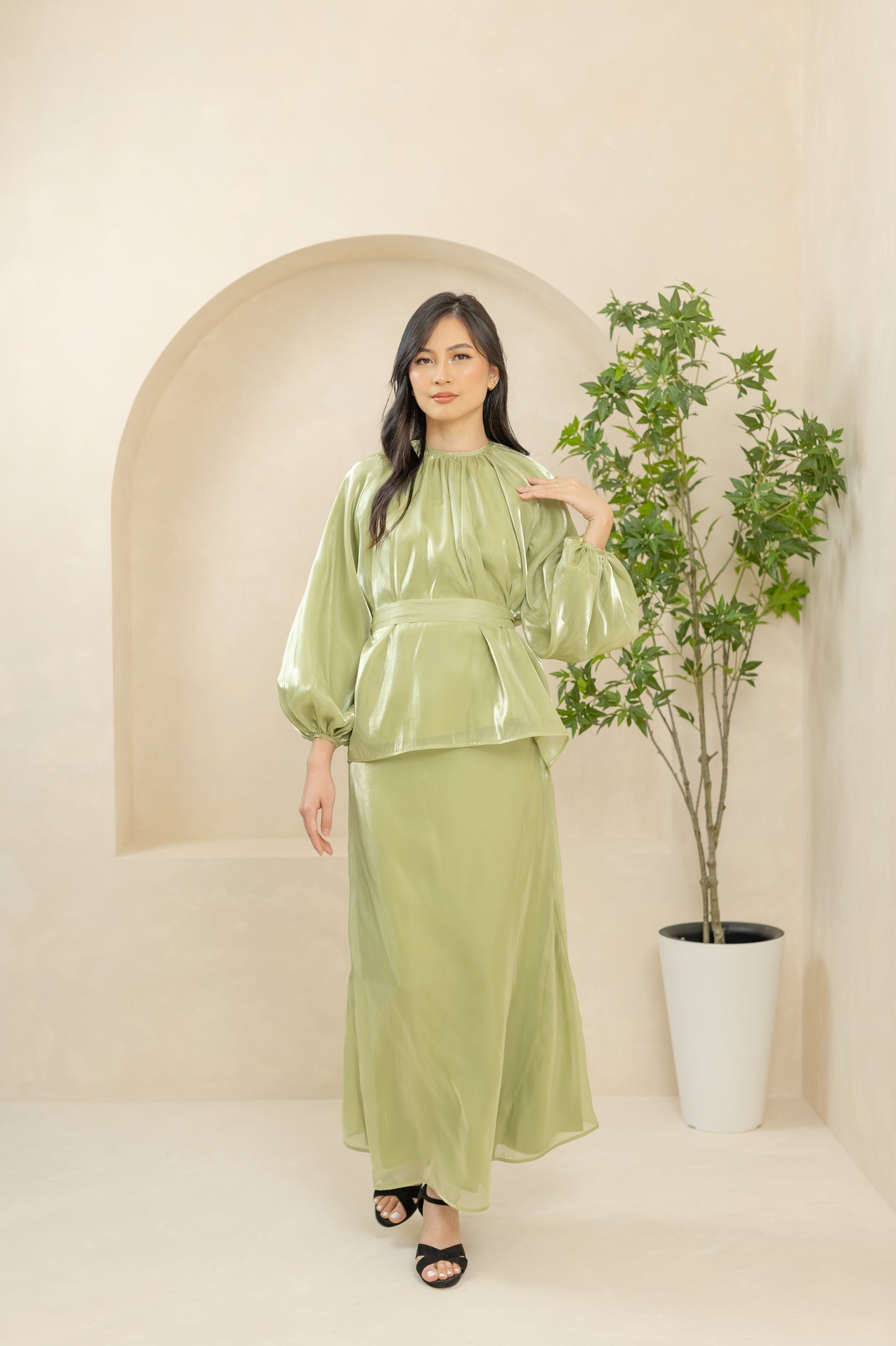 Aster - Lime Green